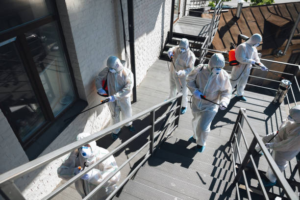 Best Biohazard Mold Removal  in Hooper, NE