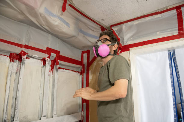 Forensic Mold Investigation in Hooper, NE