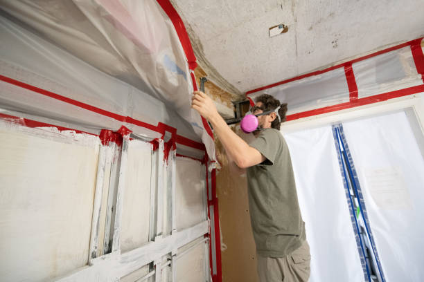 Best Indoor Air Quality Assessment  in Hooper, NE