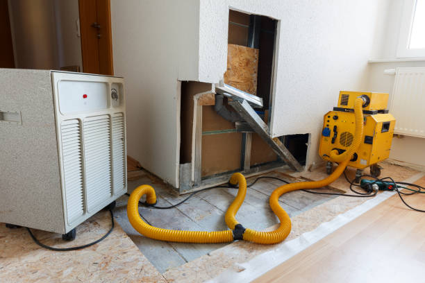 Best Commercial Mold Inspection  in Hooper, NE