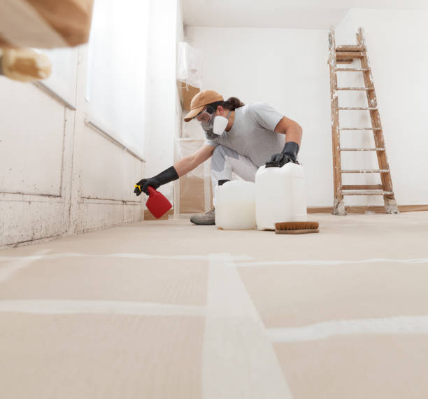 Best Forensic Mold Investigation  in Hooper, NE