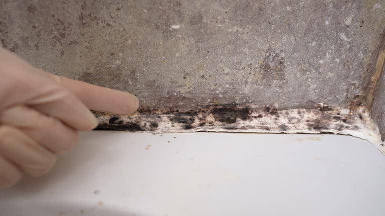 Best Airborne Mold Testing  in Hooper, NE
